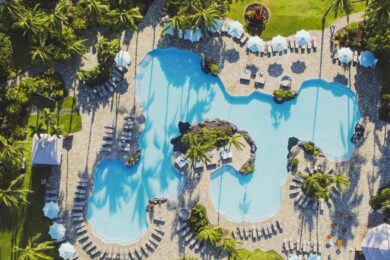 An aerial view of a swimming pool surrounded by palm trees.