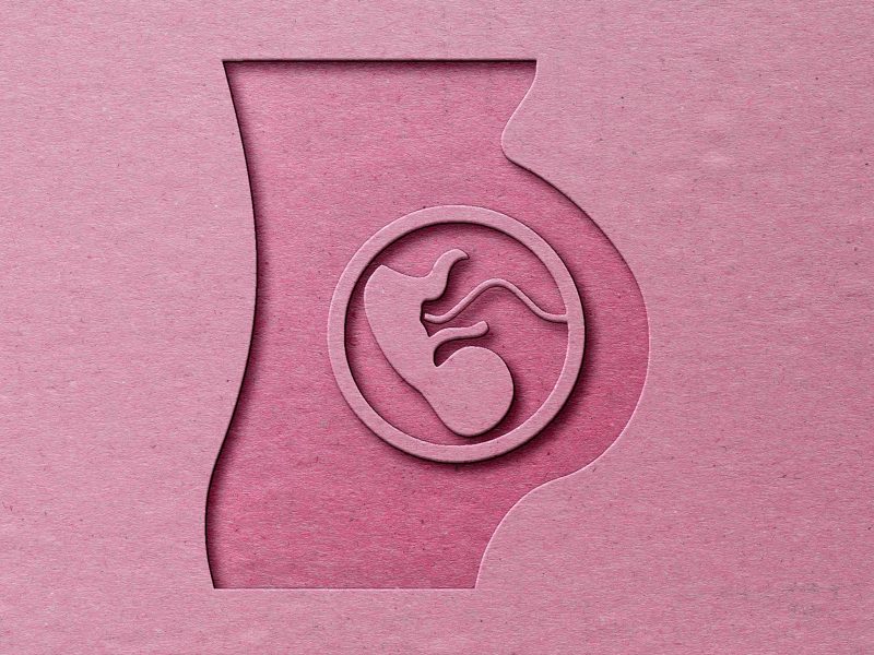 A pink paper-cut out illustration of a fetus inside a womb.