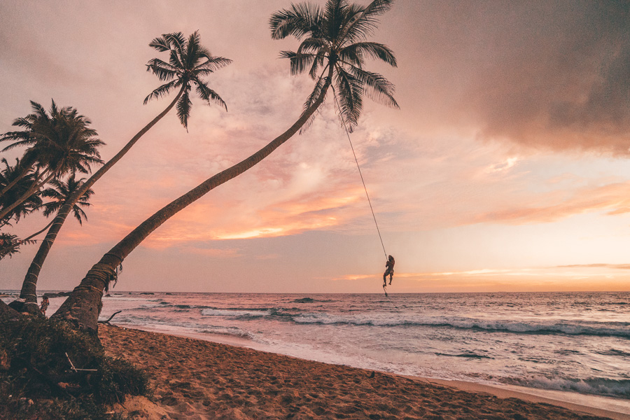 a person hanging from a palm tree on a beach.