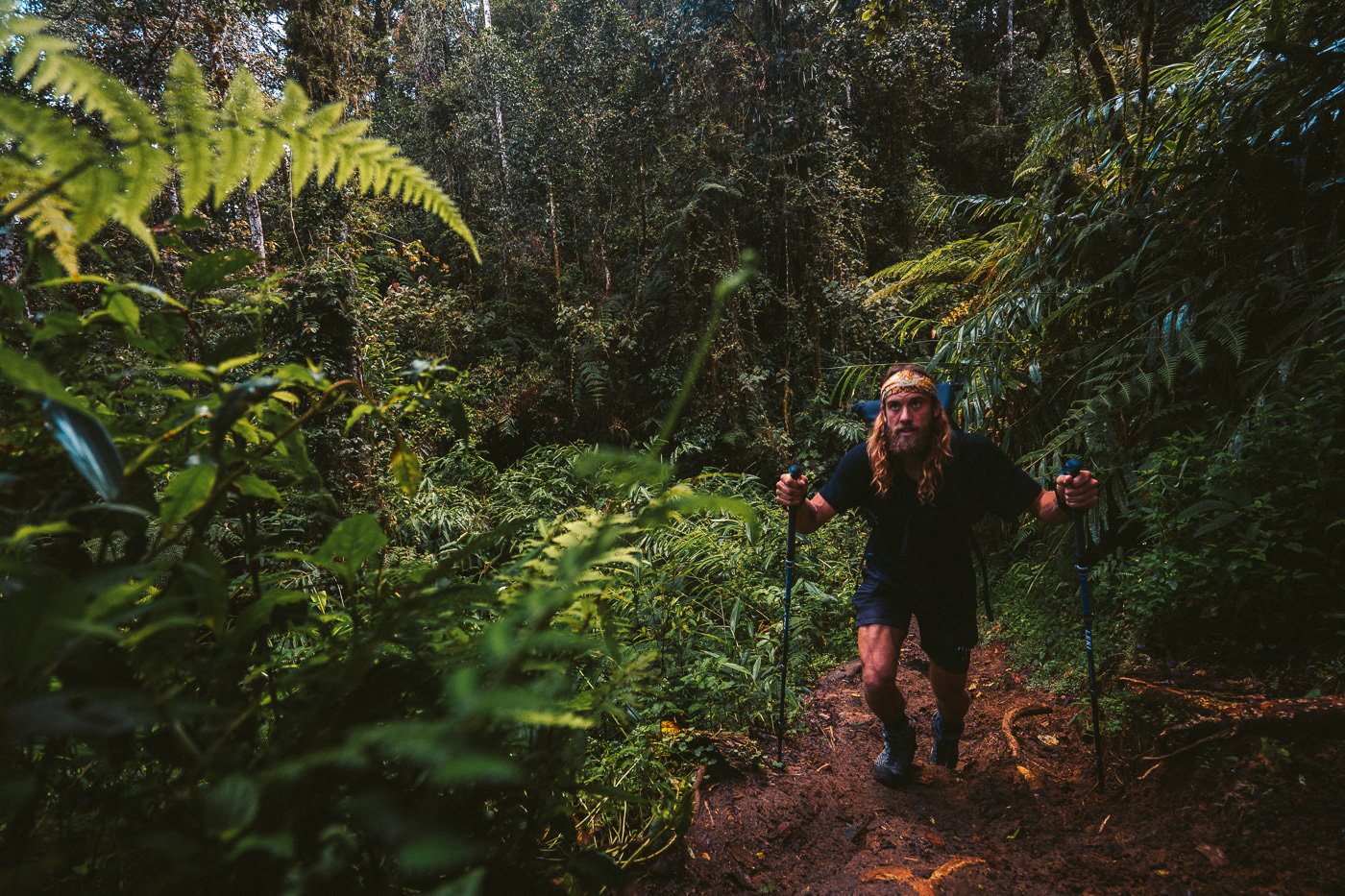 a woman hiking in the woods with a backpack.