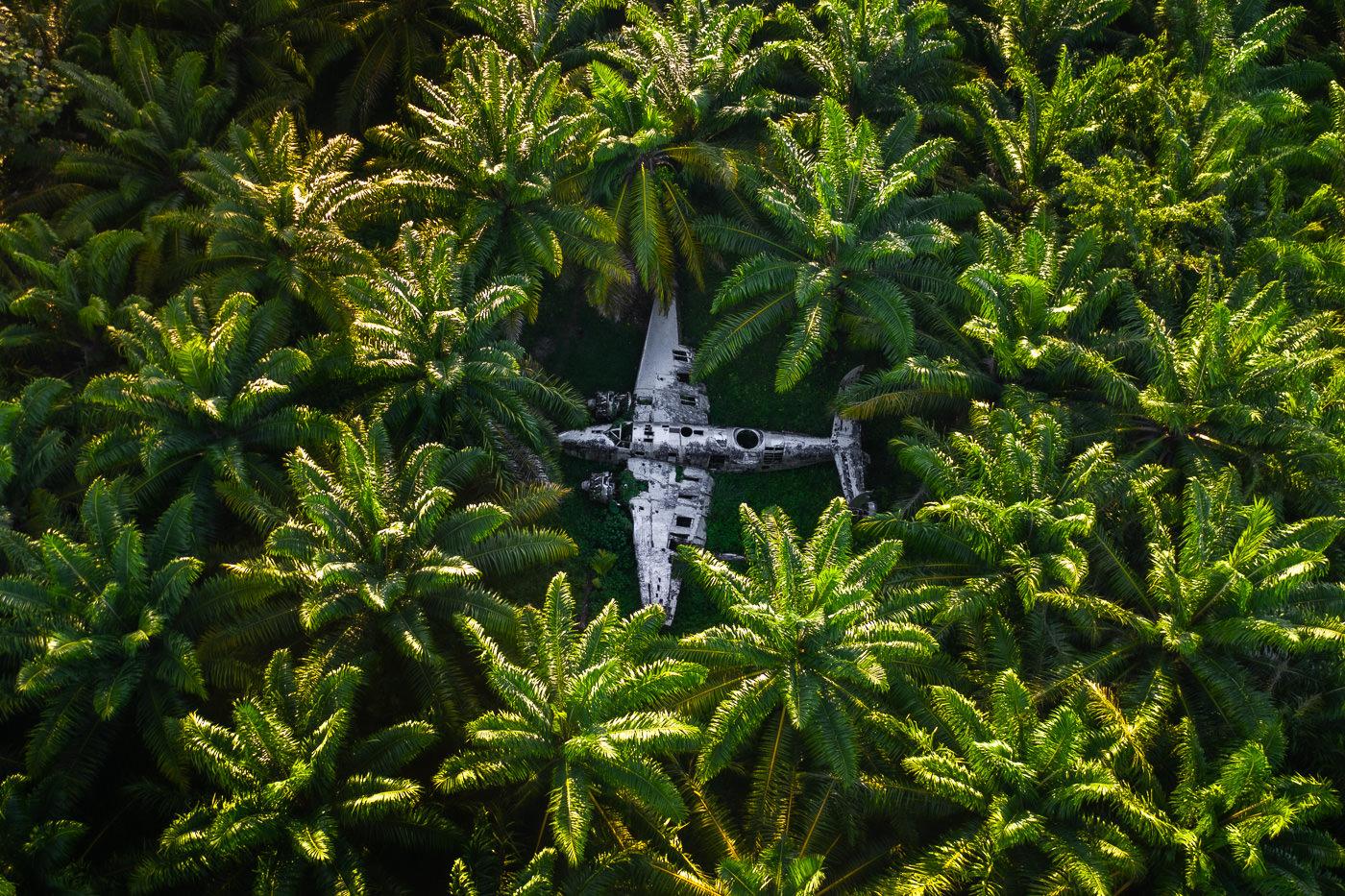 an aerial view of a plane in the middle of a forest.