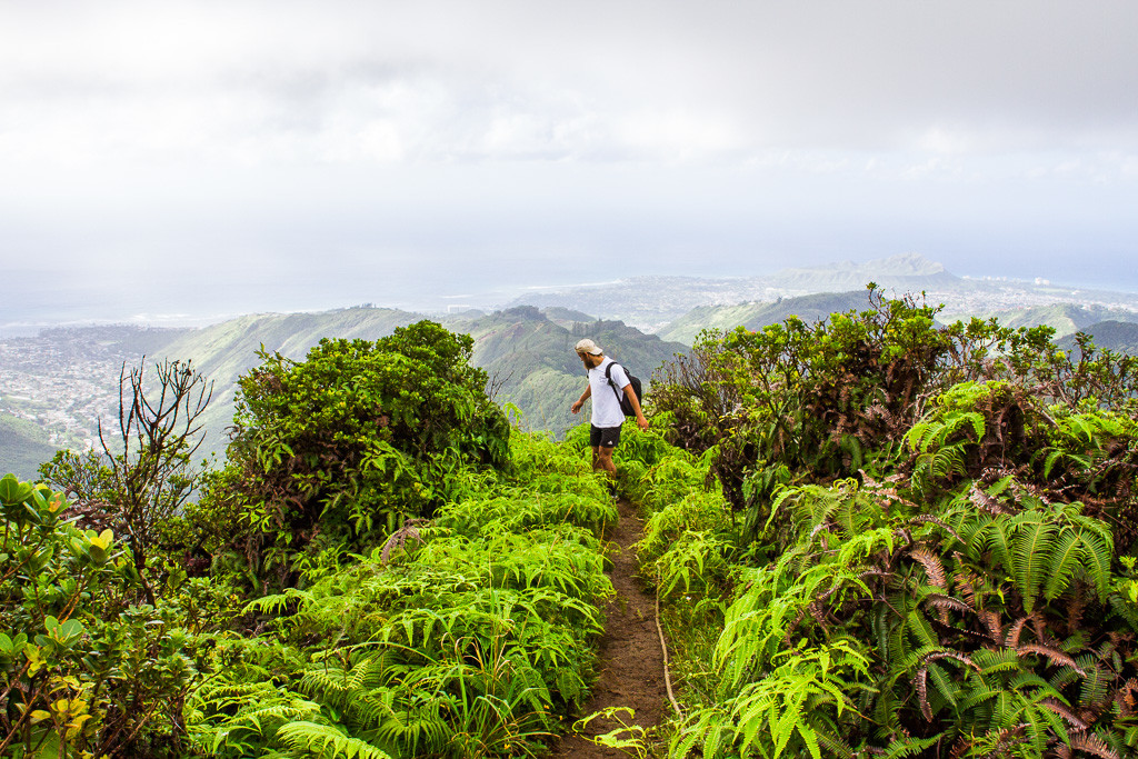 WiliWili Nui Ridge Hike Oahu-13